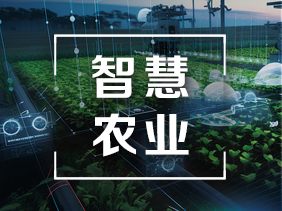 气体传感器在智慧农业中的创新应用