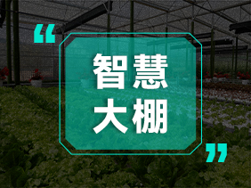 气体传感器助力智慧大棚 精准监测 高效种植