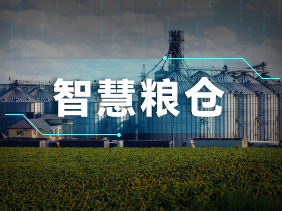 实时监测+智能预警！松柏传感气体传感器助力绿色储粮